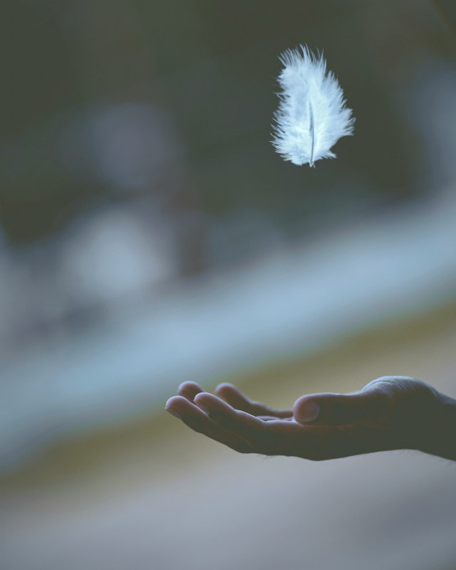 White feather floating onto an outstretched hand.