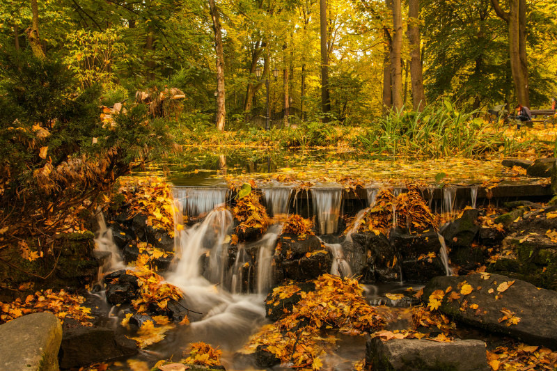 Autumn scene with waterfall.