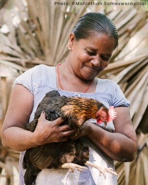 An Asian farmer holding a chicken.
