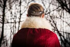 Back view of king in red robe, wearing a crown.