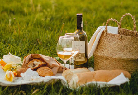 Close-up of a picnic spread on grass, illustrating the page title, ‘Spirit led Breathing Spaces: the Rhythm of Mealtimes’.