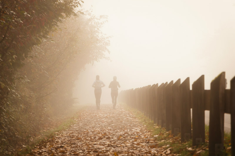 Runners jogging along a leaf-strewn path in the mist.