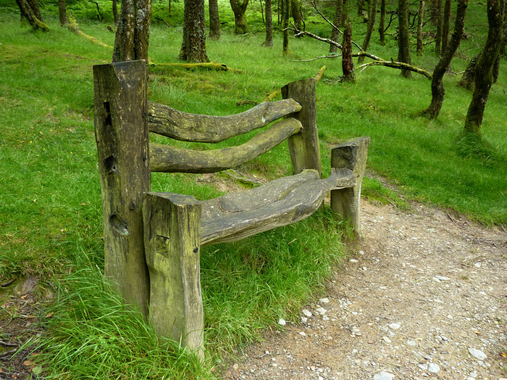 Woodland bench, illustrating the idea of taking time in creation for listening to God’s voice.