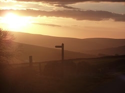 Sign post against a sunset, picture link to ‘Building a Personal Relationship with God’ page.