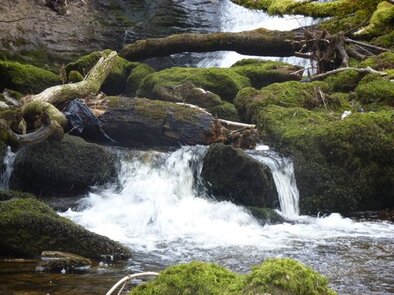 Stream running over mossy rocks, illustrating an explanation of how to ask for the Holy Spirit.