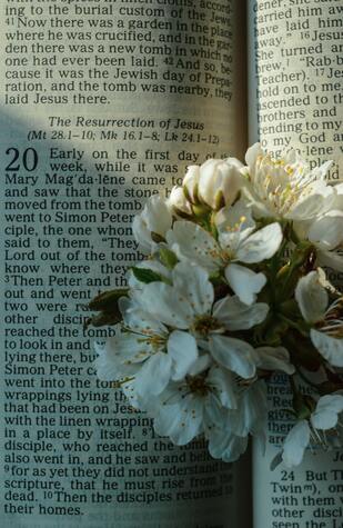 White flowers laid on Bible, open to Easter story, illustrating the section, ‘What About Christian Festivals?’
