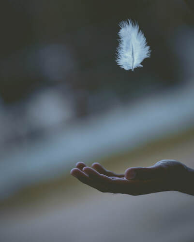 Feather drifting onto an outstretched hand, illustrating 'signs of a divine encounter'.