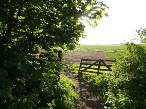 Open gate into a sunlit field, illustrating the page title: ‘Introduction to a Journey into Rest and Peace’.